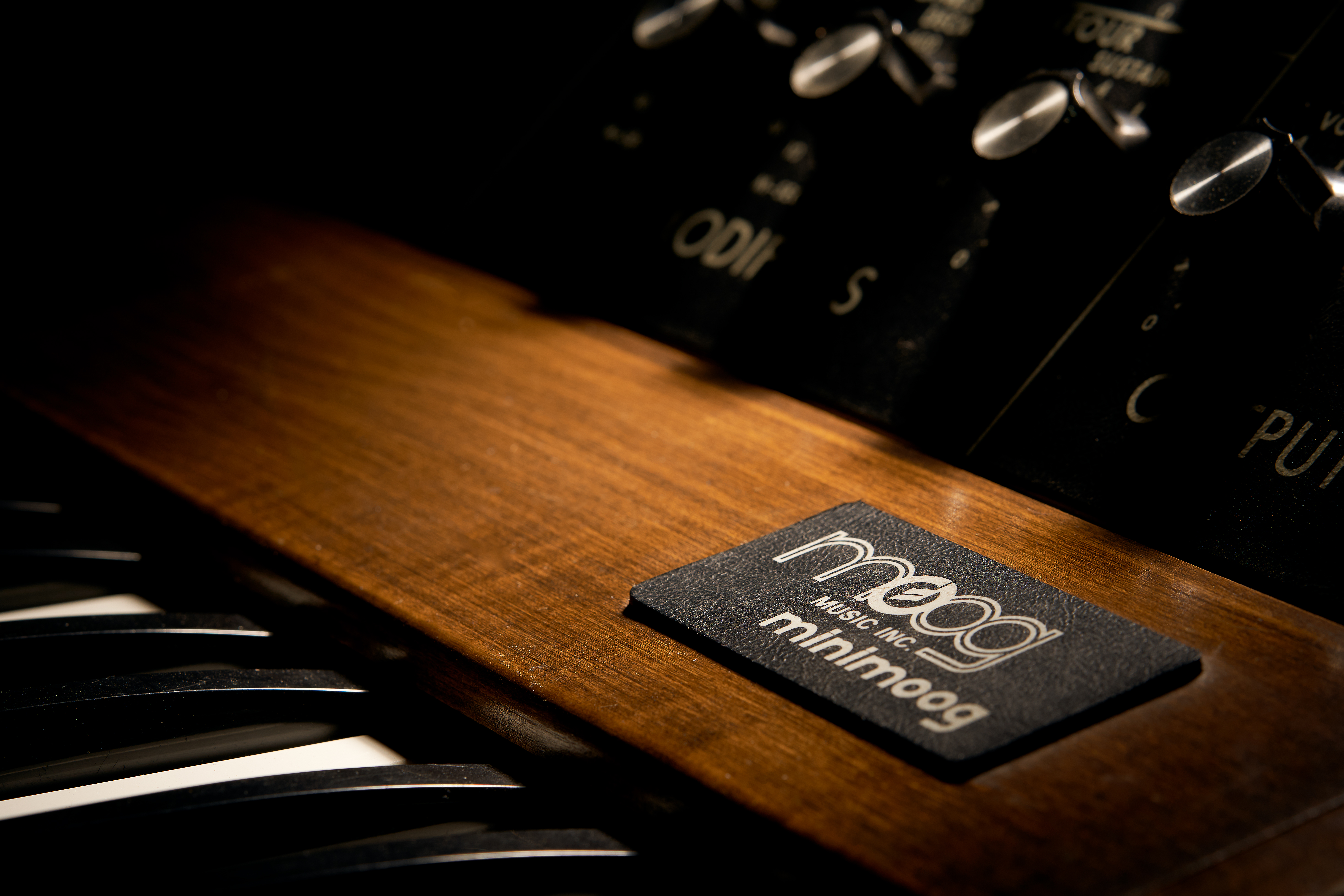 Moog Minimoog - Image 7