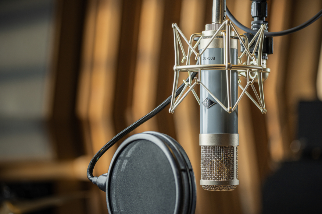 Universal Audio Bock 167 - Image 8